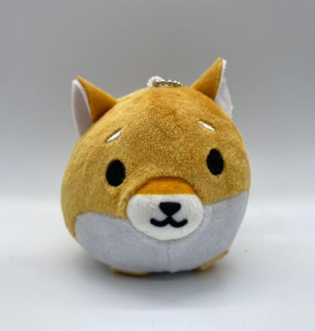 Shiba Inu, perro bola